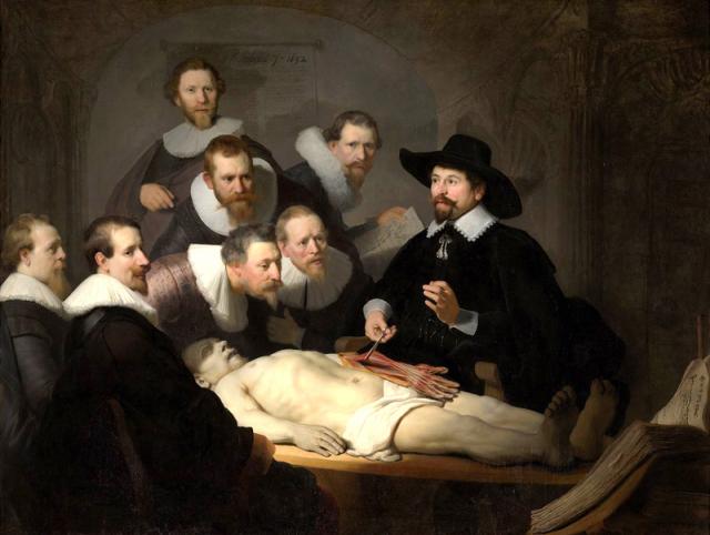 Rembrandt - Anatomi…